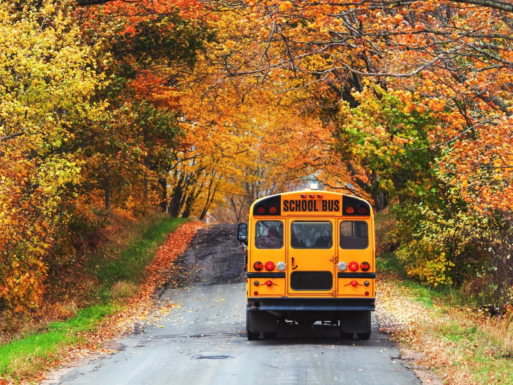 Back-to-School Back Pain: Tips for Students & Parents
